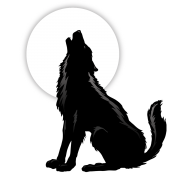 Rock Band in Clearwater