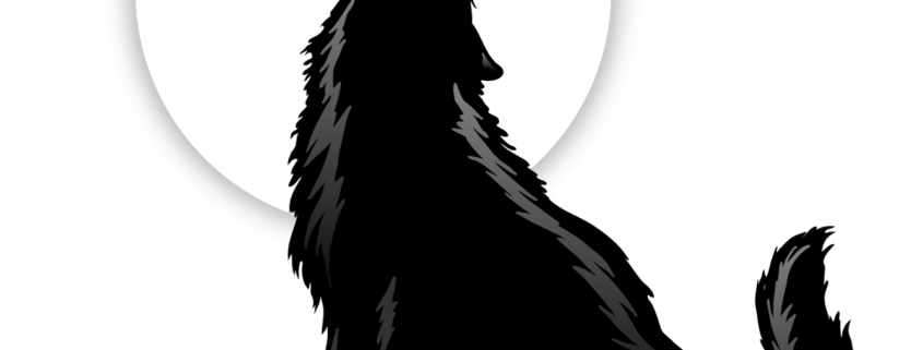 Rock Band in Clearwater